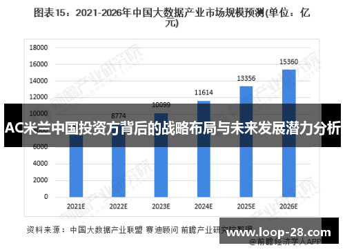 AC米兰中国投资方背后的战略布局与未来发展潜力分析