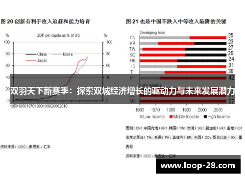 双羽天下新赛季：探索双城经济增长的驱动力与未来发展潜力