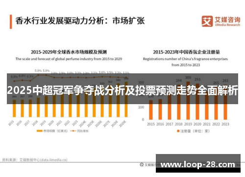 2025中超冠军争夺战分析及投票预测走势全面解析