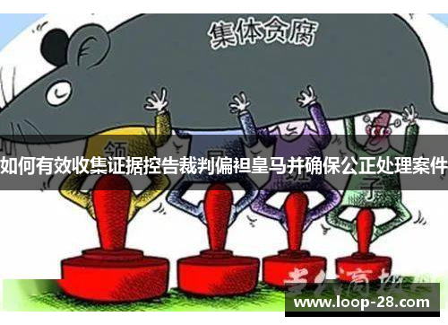 如何有效收集证据控告裁判偏袒皇马并确保公正处理案件