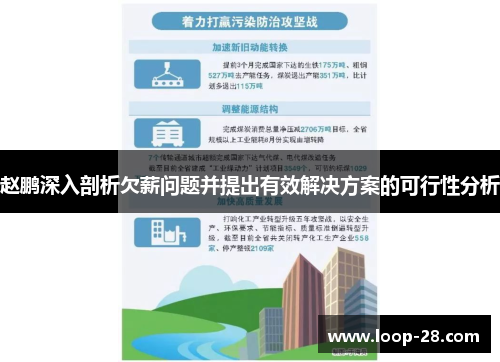 赵鹏深入剖析欠薪问题并提出有效解决方案的可行性分析